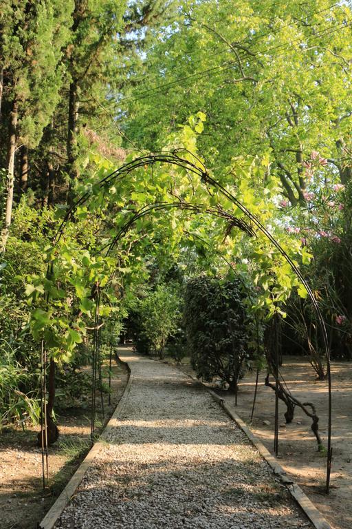Domaine Du Moulin Saint Laurent des Arbres Bagian luar foto